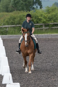 ISIS Dressage Challenge 2008